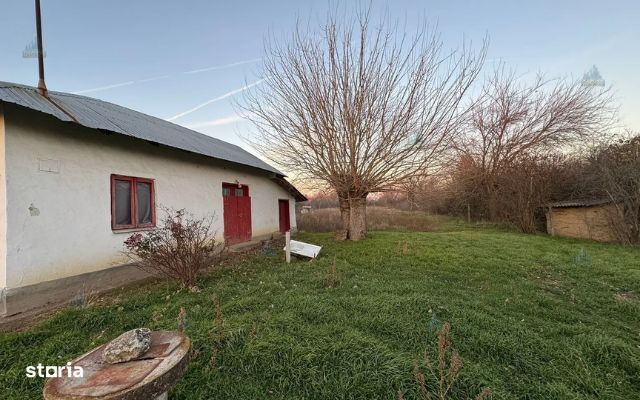 De  Vânzare Teren 3.488 mp  – Drumul Stăneștiului,Giurgiu