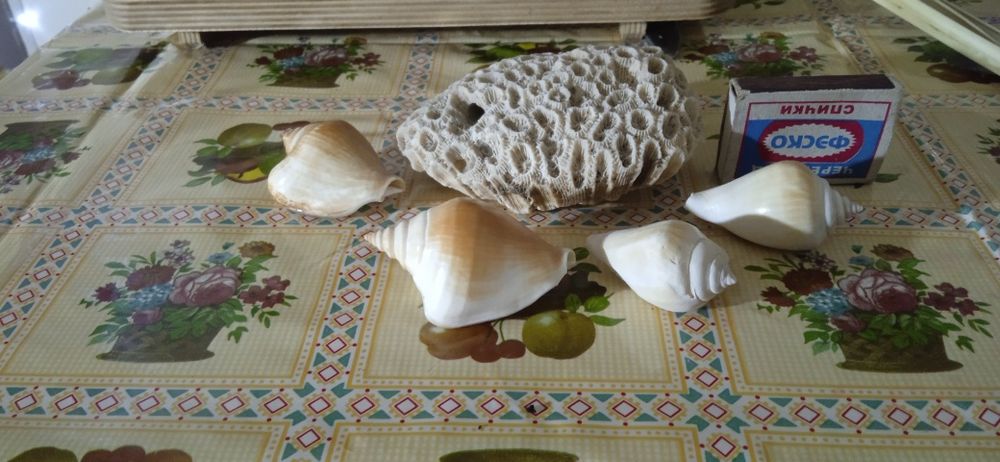 Аксессуар для аквариума цена за всё