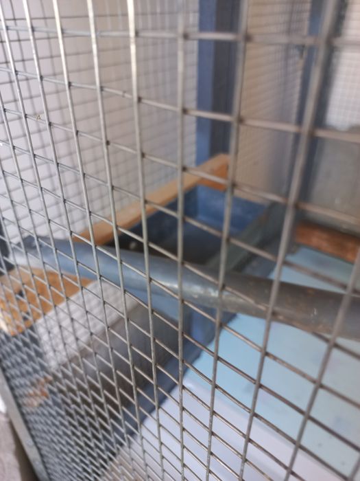 Qafas boyi 1m uzunligi 1.20m Eni 75sm  mustahkam tuvuq xorozlar uchun.