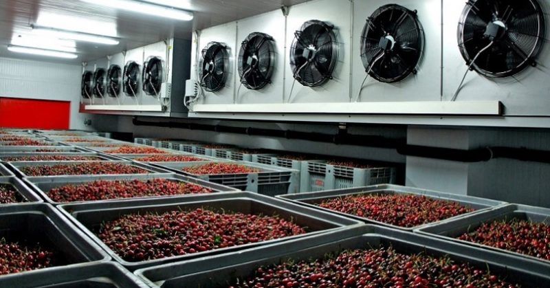 Холодильная камера под заказ