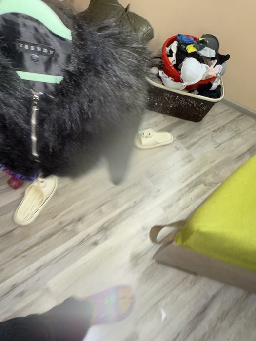 Кожено яке детско