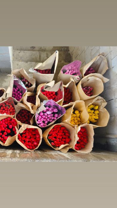 Тюльпаны по 750 тг доставка имеется