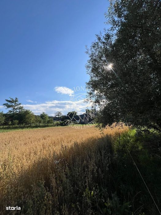 Teren intravilan 6800 mp cu utilitati-Parcelabil-Sieu 21km de Bistrita