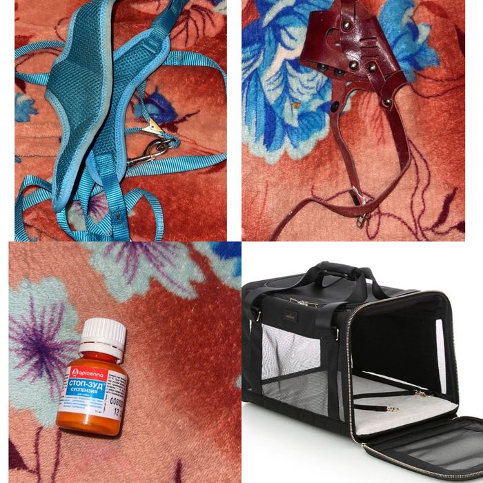 Продаётся сибирский хаски. Мальчик.