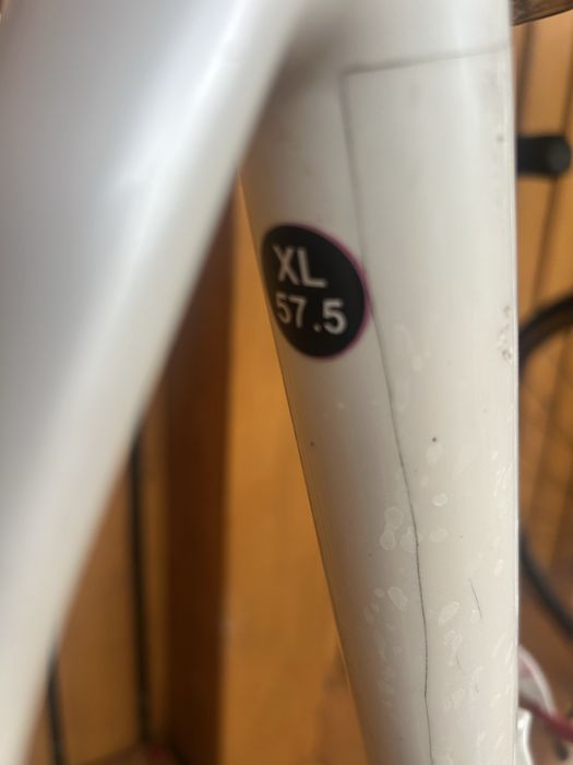 Cirsiera carbon Boardman