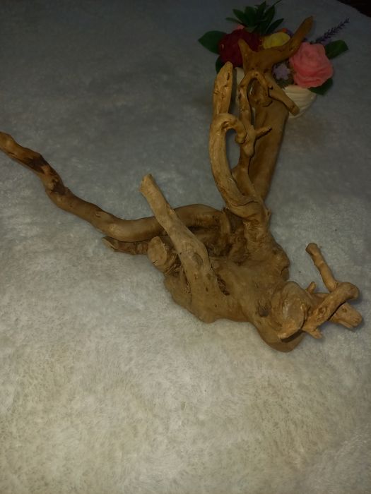 Каряга корень дерево для аквариума/koryaga daraxt ildizi akvarum uchun