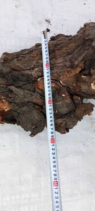 Декорация за терариум