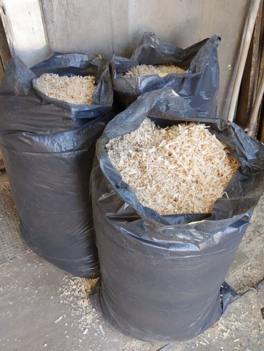 Rumeguș talaș uscat