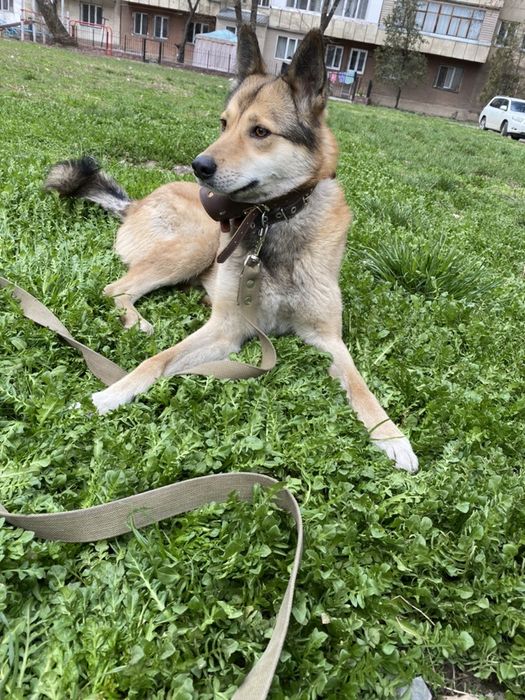 Зсл.Вязка.4года.