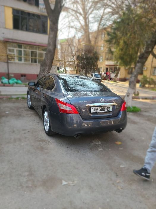 Nissan Maxima A35