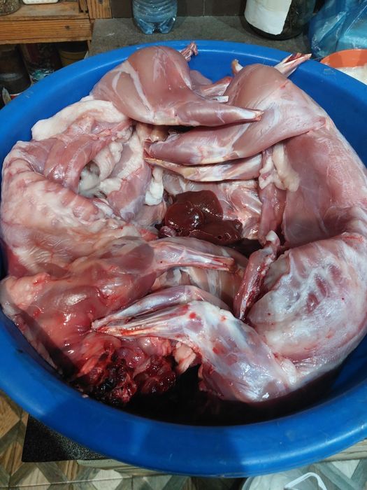 Мясо кролика  продам