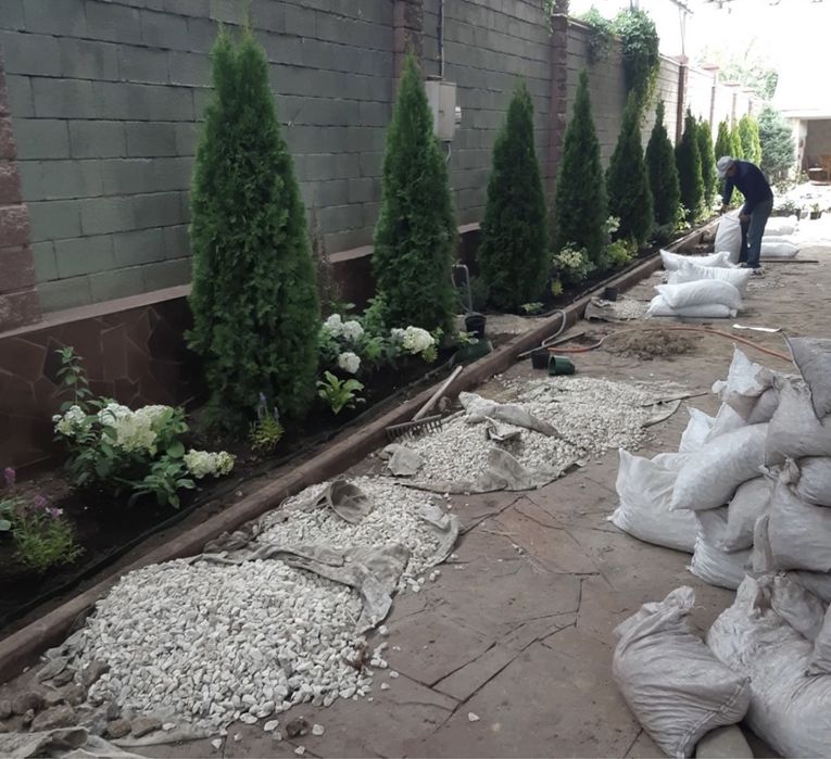 Газон евро ландшафт