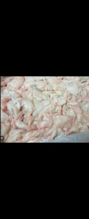 Корм для собак. Кости, Фарш.