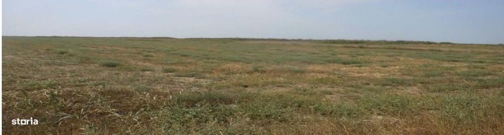 Teren extravilan Negrilesti, cota parte 2/18, ID: R2940348