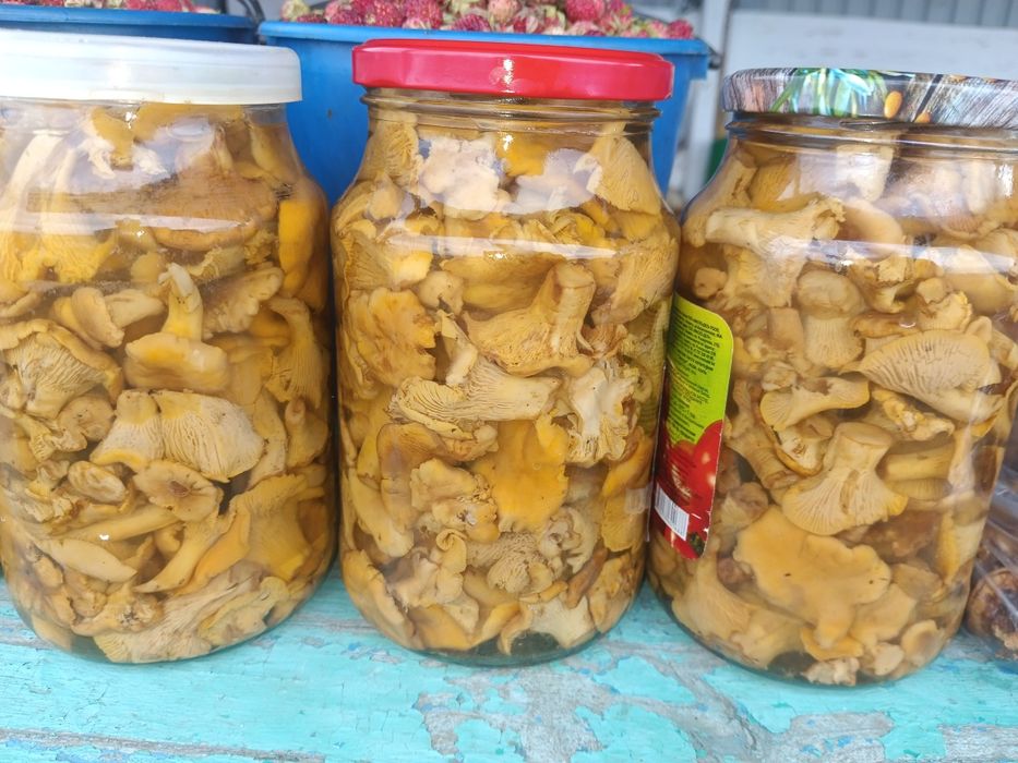 Продам лисички свежие