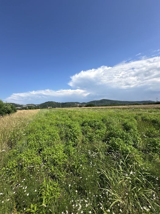 Teren intravilan de vânzare – 8.300 mp – Vălenii de Munte-Gura Vitioarei, Str. Nicolae Bălcescu