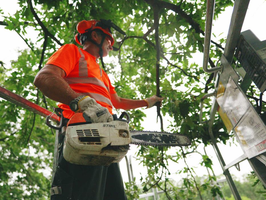 Дробене на клони, мулчиране и изравняване на терени с челен товарач