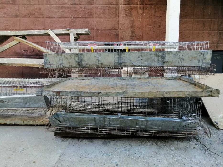 Клетка для перепелов