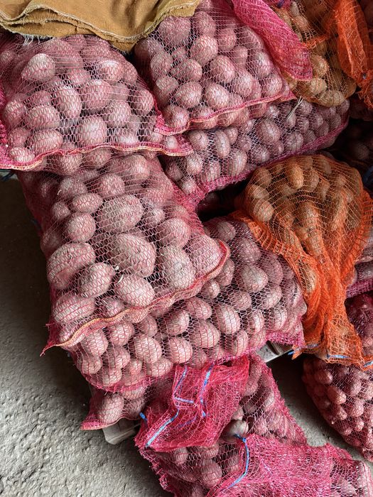 Cartofi de consum alb si rosu