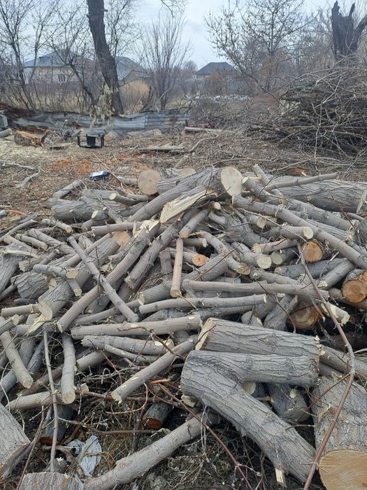 Продам пеньки и дрова.