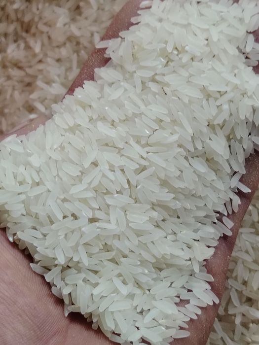 Ганникпен жыныстық қатынас