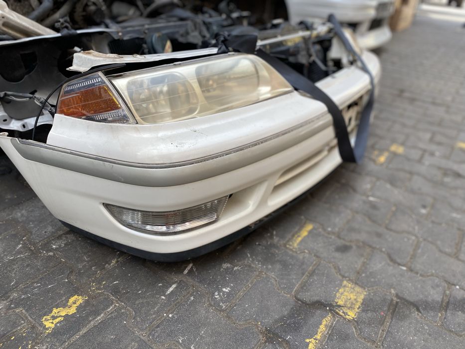 Ноускат разобрынный