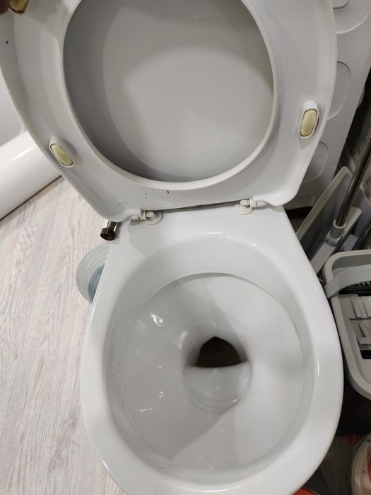 Бесплатно  унитаз