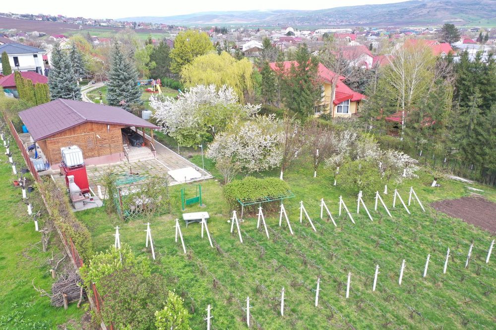 TEREN INTRAVILAN 3475mp + CASA 2003 - VASLUI - zona Moara Grecilor