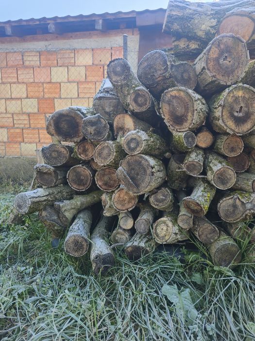 Vand lemn de NUC pret  NEGOCIABIL