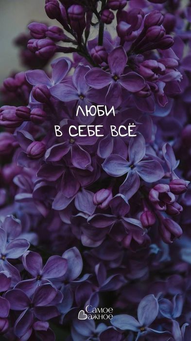 Восковая депиляция