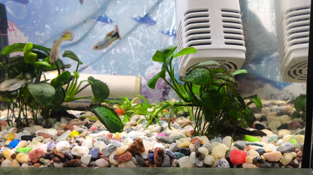 Продам аквариум с рыбками