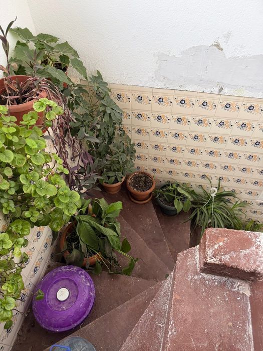 Продава се Къща в с. Брод, Област Хасково - 152 кв.м за 265 €/кв.м - Снимка #4