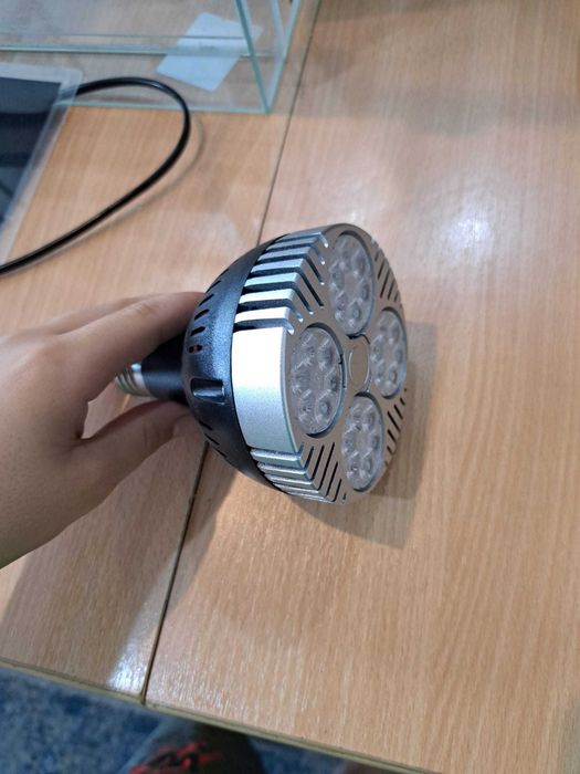 terariu pentru reptile plus accesorii