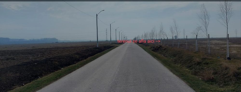 Teren 2500 mp intravilan Podu Rizii, Comuna Salcioara, Dambovita