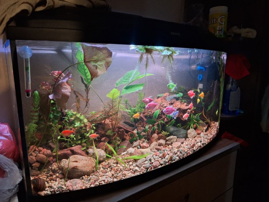 продам аквариум Aquael