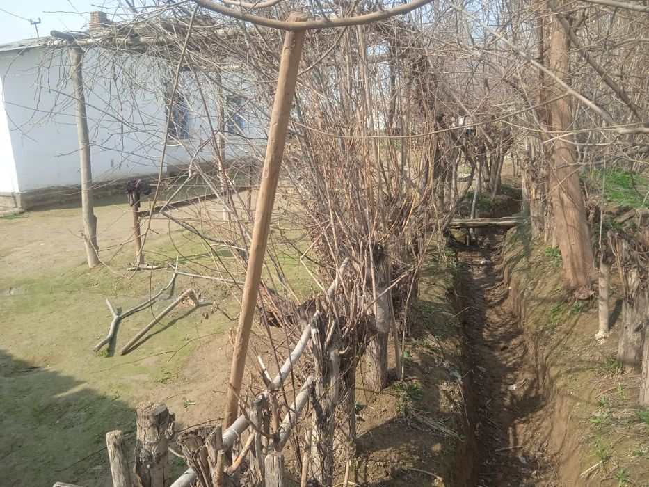 Тошккент вил Buka tumani МФИ Худаихул маххалла хоким қарори кадастр бо