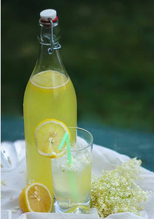 Sirop de soc artizanal