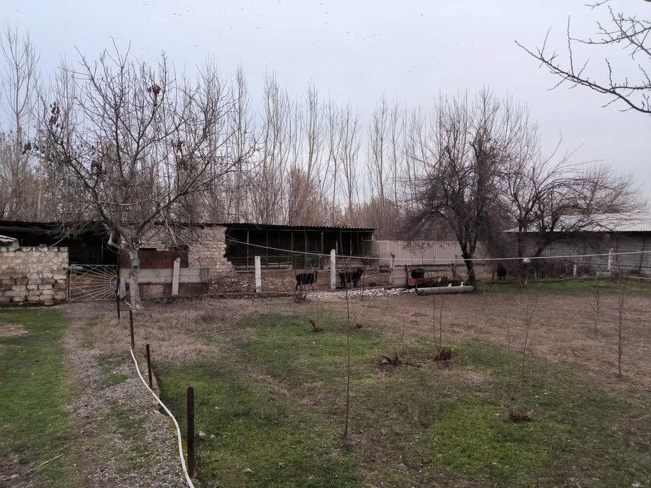 Tashlak, Surum, Quyichirchiq tumanida hovli sotiladi.
