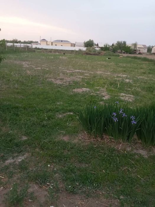 2500кв метр ховли жой сотилади