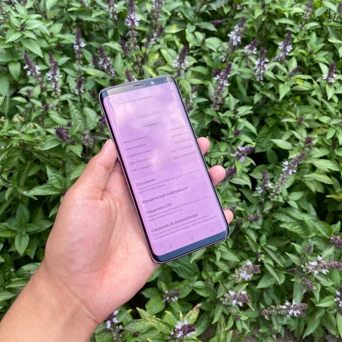 Samsung Galaxy S9+ srochni