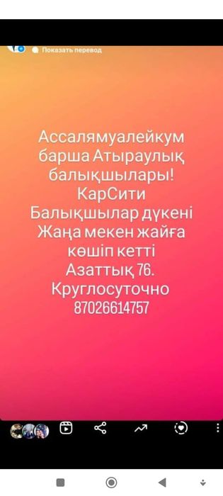 Закидушки на сазана. Сом