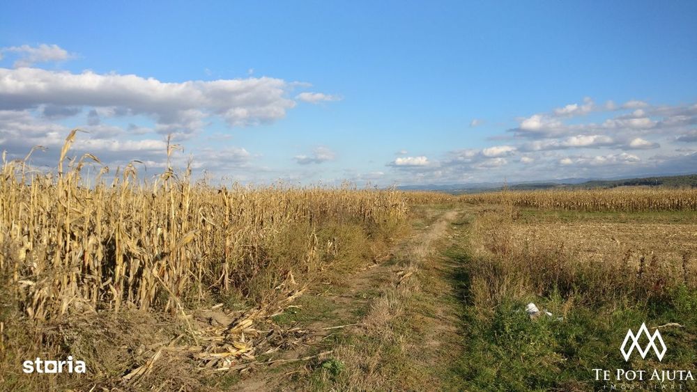 Teren 14900 mp, Simeria, Jud. Hunedoara, Acces la 2 strazi!