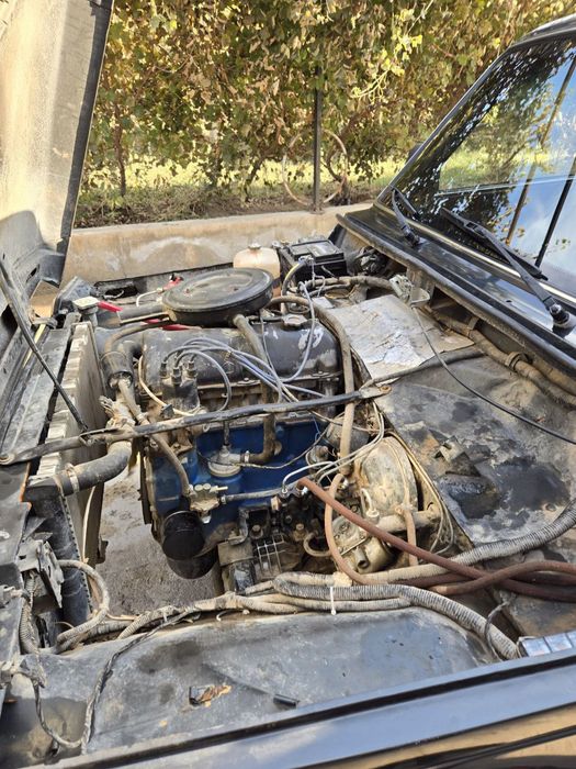 Neva sotiladi nuldan bulgan