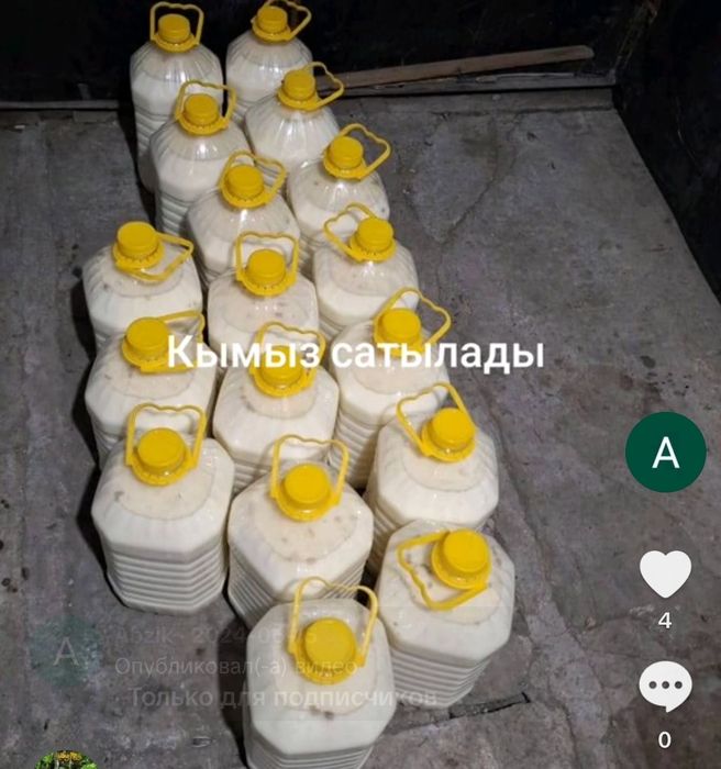 кымыз   сатылады