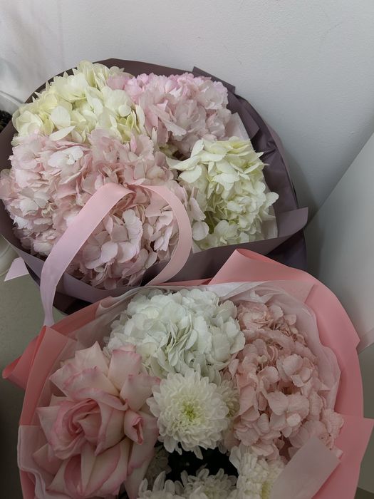 гортензия цветыы