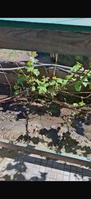 Дача 1 сады расширенная