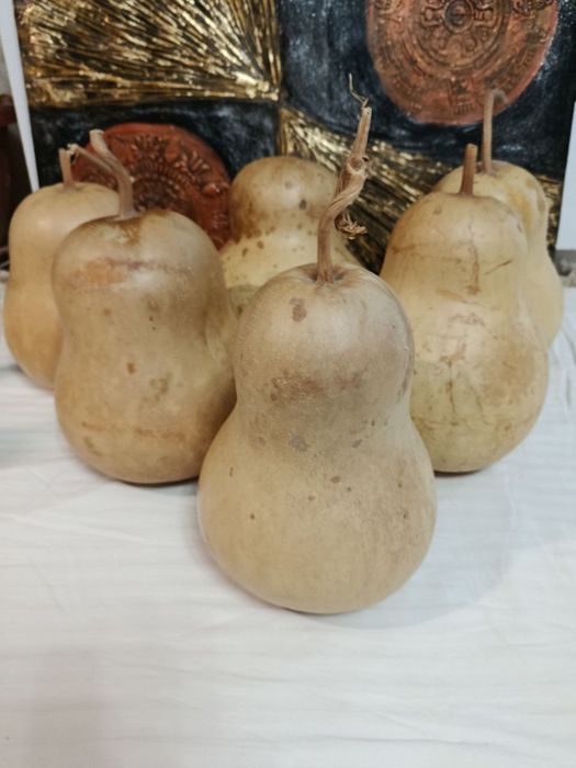 Продаю декоративные тыквы лагенария