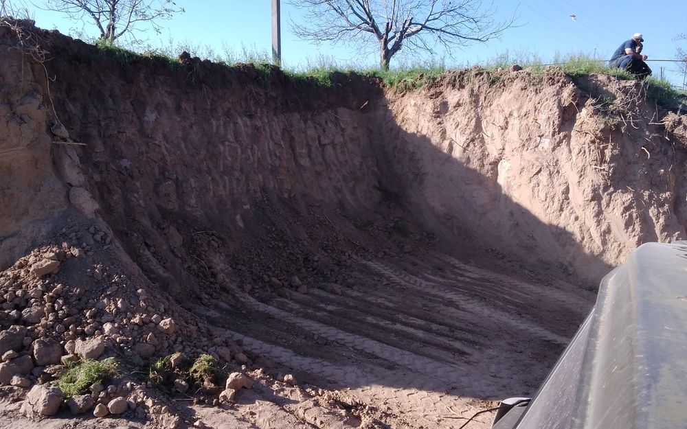 Кум шагал аптималка тош турпок шебён кленес кампот gum sheben