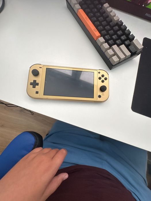 Nintendo Switch Leit