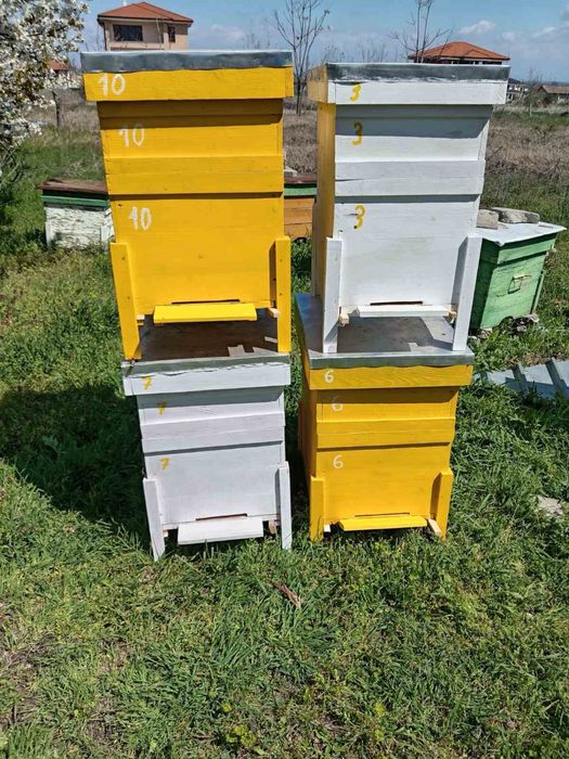 10 рамкови кошери ʼʼДанблатʼʼ